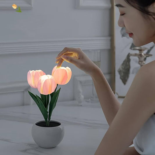 LED Tulip Flower Night Lamp - Budget Mart