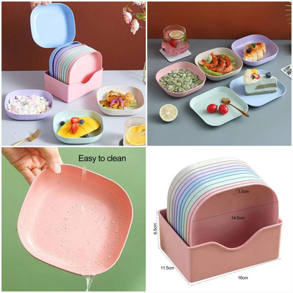 10Pcs Multipurpose Plate set with Holder