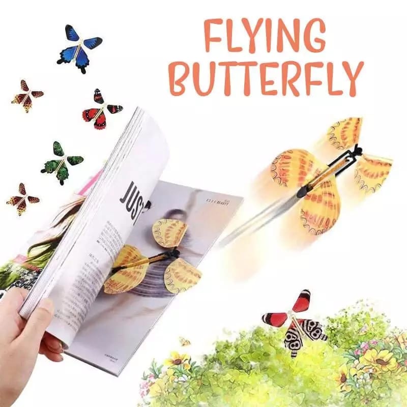 Flying Butterfly - Pack of 2 - Budget Mart
