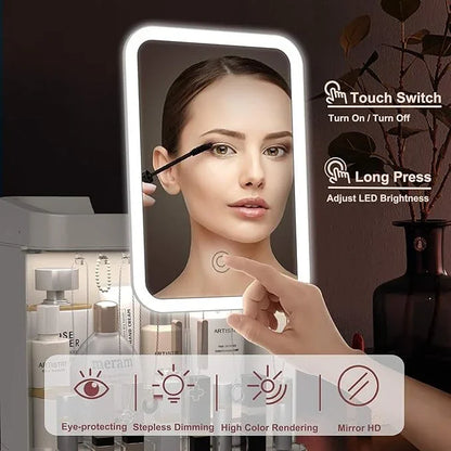 Large Capacity Makeup & Cosmetic Organizer with LED Mirror - Budget Mart