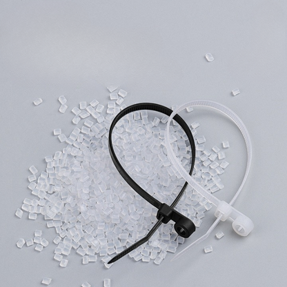 Screw Hole Mount Nylon Cable Tie (Pack Of 50)