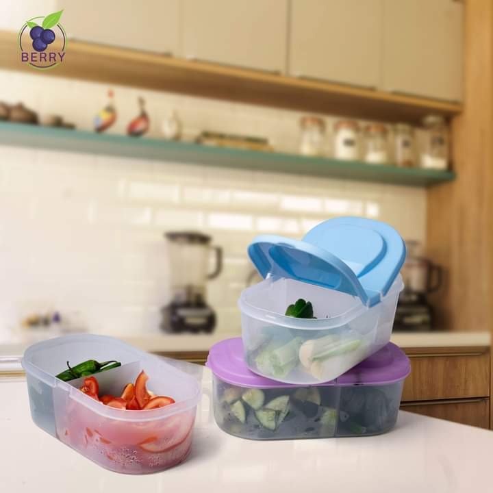 Splash Dual Compartment Food container - Pack Of 2 - Budget Mart