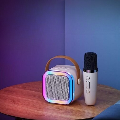 Wireless Mini Speaker With LED Light And Mic | Budget Mart