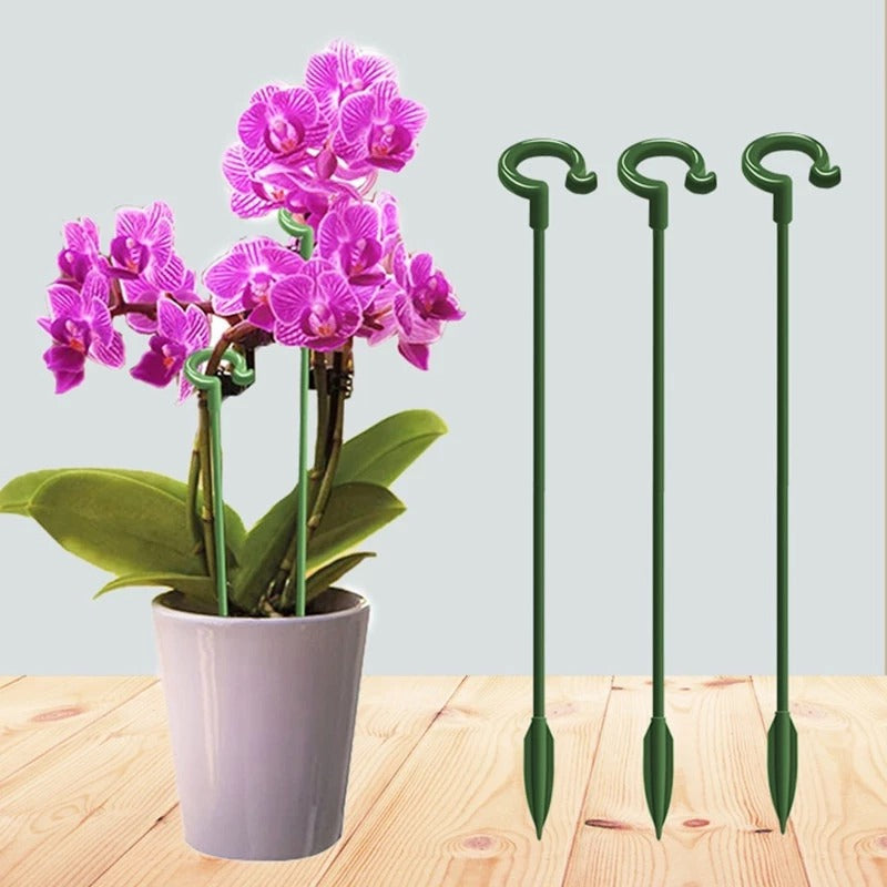 10 Pcs Mini Portable Plant Holder